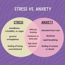 Understanding Best Anxiety Symptoms Through Digital Health Tracking 3126
